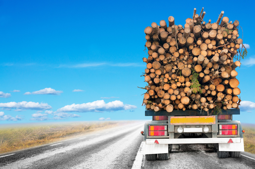Miškų transportavimas